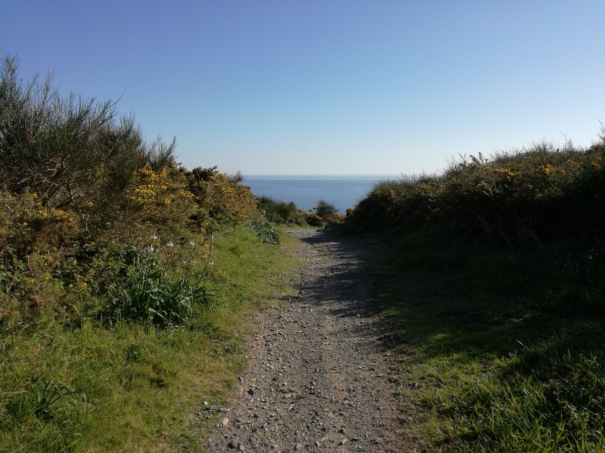 First view of the Atlantic from the trail to Finisterre